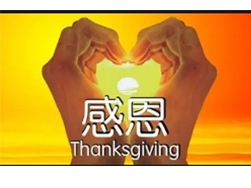 學(xué)會(huì )感恩，工作就順了